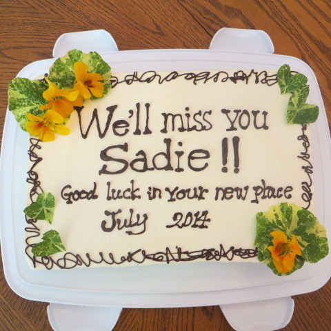 Best Farewell Theme Cake In Bangalore  Order Online