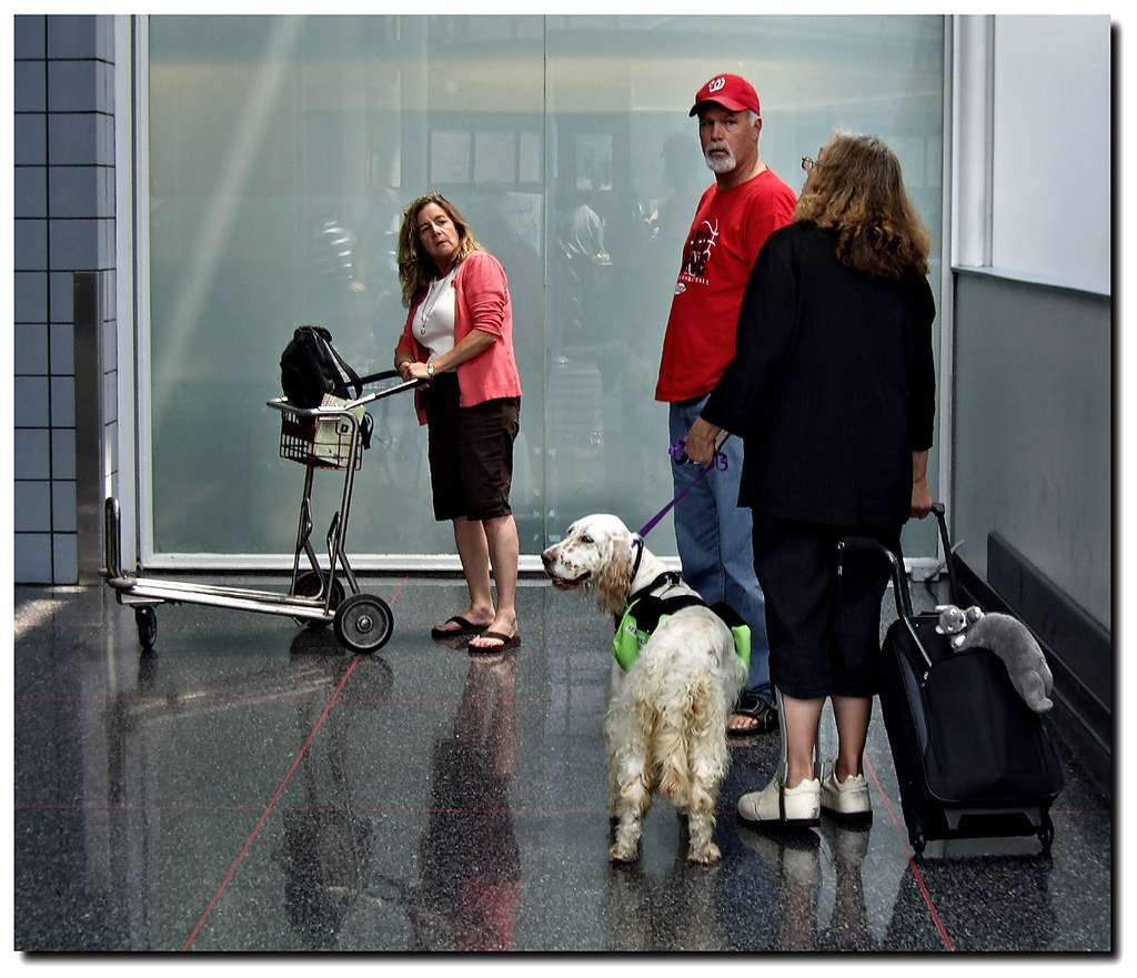 The Serendipity of Airports
