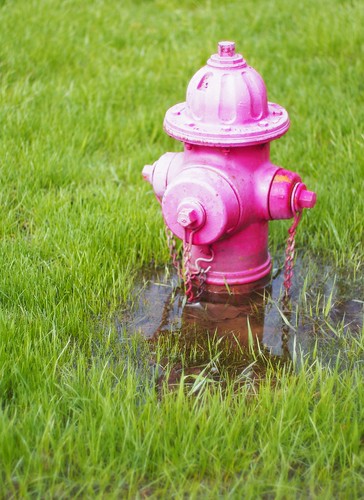 pink reflection green water pool grass hydrant puddle 50mm bright pentax f14 sears 14 firehydrant faded 365 kx customimage