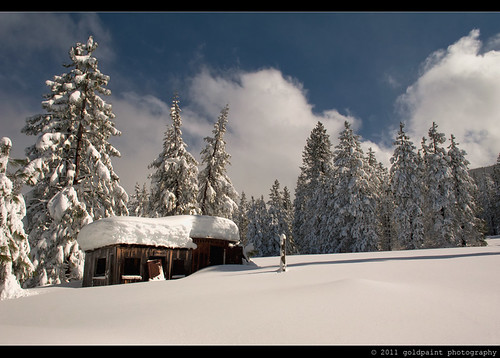 ca wood trees snow storm abandoned northerncalifornia clouds forest weed buried shed shasta norcal polarizer 2470mmf28 d700 goldpaintphotography