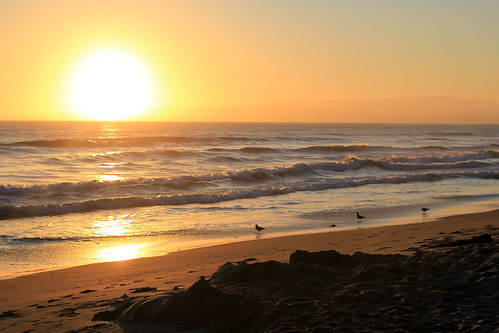 ocean california sunset sun beach water beautiful birds sand waves serene warbritton canont2i