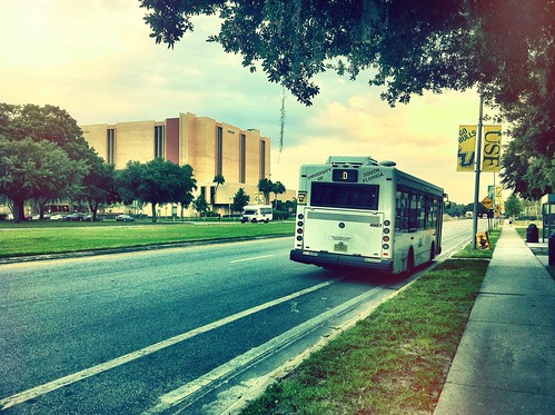 A View of USF from the Bus Stop.