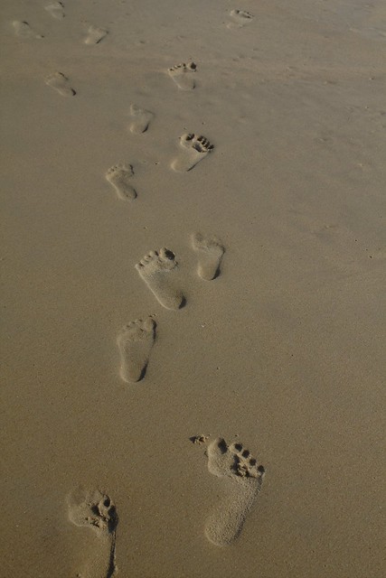 foot prints
