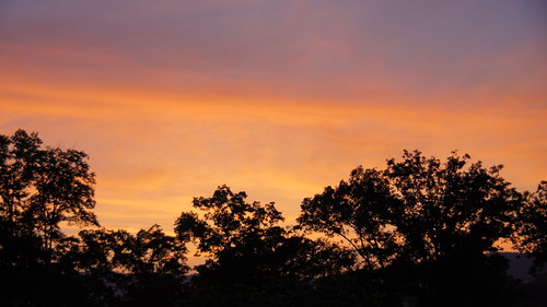 DSC04735 by earlayers,