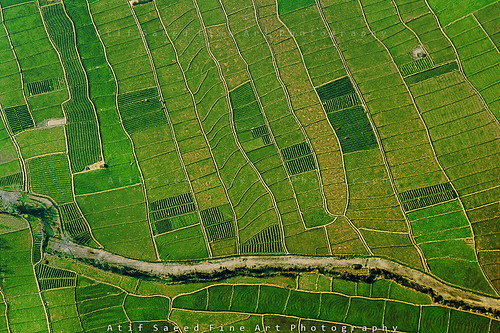 pakistan green ariel nature landscape pattern patterns shapes valley fields swat partitions irregular mingora birdeyeview atifsaeed