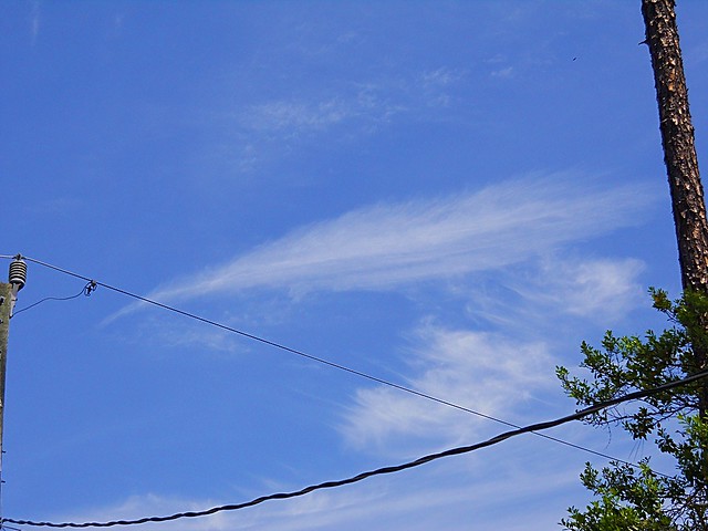 4-14-2011 Feather in the Sky - 1
