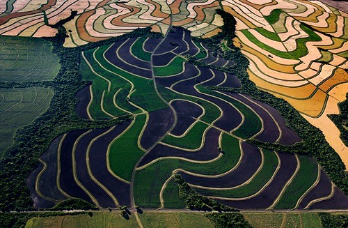 color art argentina farm diversity aerial estancia agriculture paranariver lagunablanca dougtompkins entreríos estancialagunablanca ríoparaná entreríosprovince