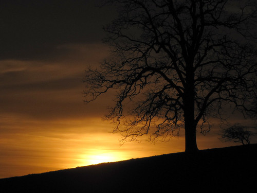 sunset sun tree silhouette northcarolina blueridgeparkway ndfilter westernnorthcarolina neutraldensityfilter southernappalachians ccbyncsa hoyand8 moseshconememorialpark canonpowershotsx10is