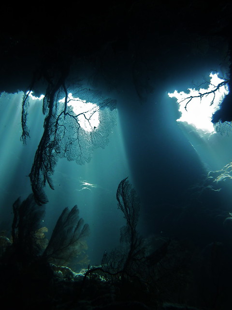 Lifou's underwater caves