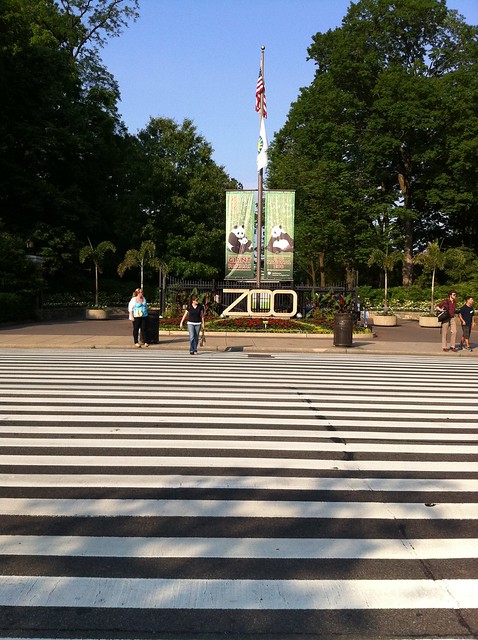 Zoo entrance. Zebra crossing. Naturally.