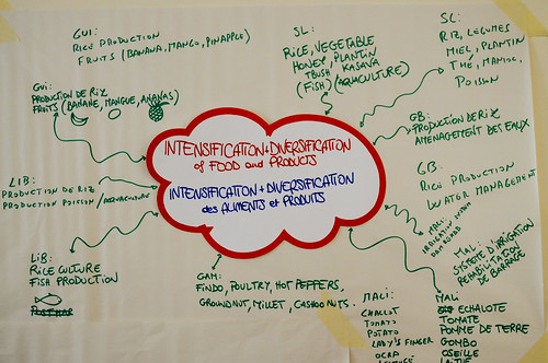 Intensification/Diversification of food and products - Flickr