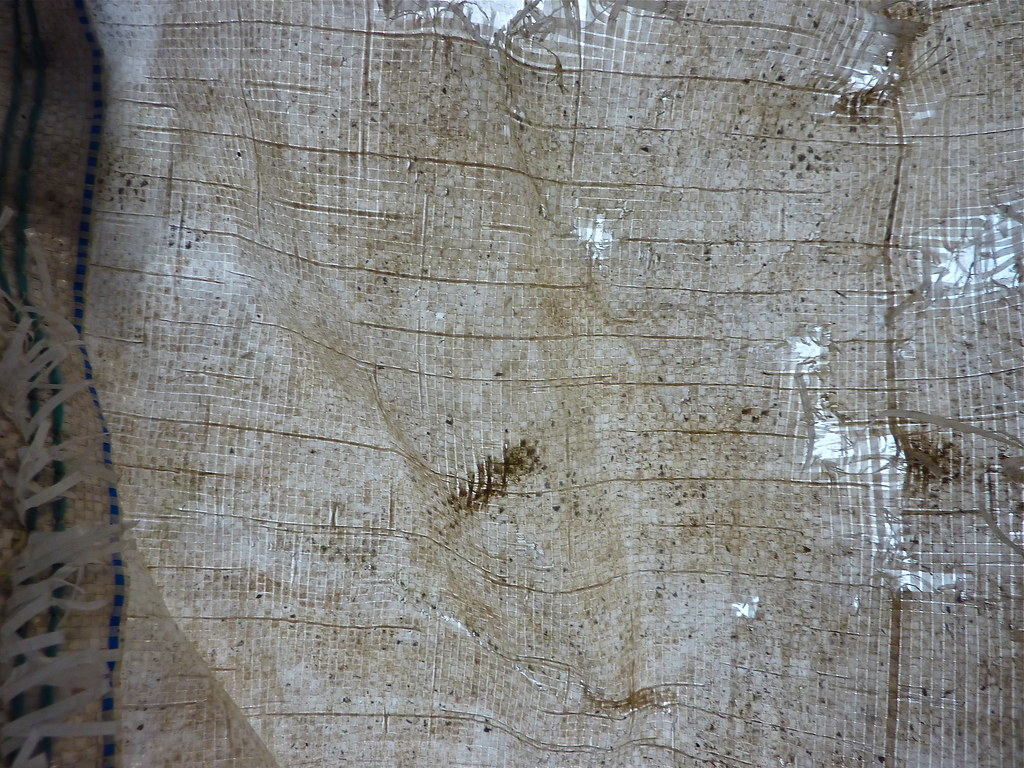 Tarpaulin canvas texture, A tarpaulin, or tarp, is a large …