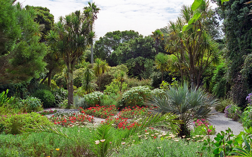 Tresco Abbey Gardens, Scilly Isles, UK | A superb Sub-Tropical Garden (10 of 12)