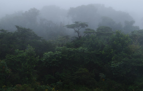 green fog forest landscape geotagged costarica kostarika poásvolcanonationalpark