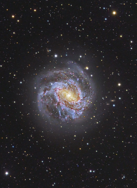 M83 Spiral Universe