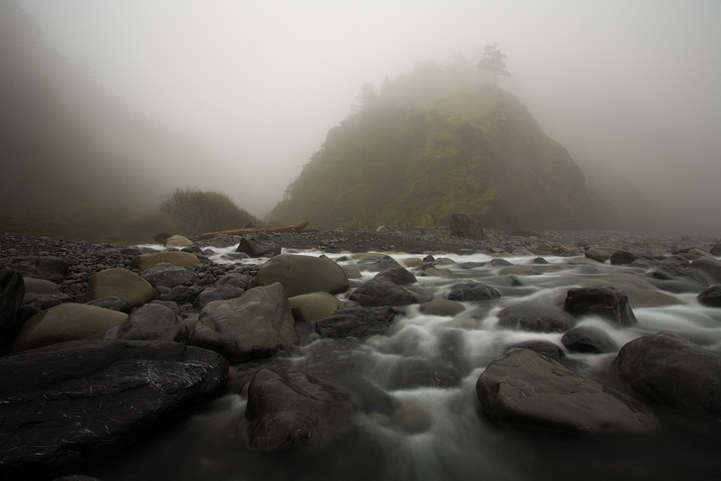 Shipman Creek Morning Fog by AlwaysJanuary (Randy)