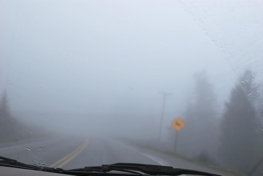 Fog up ahead. Photo by Karen Neoh; (CC BY 2.0)