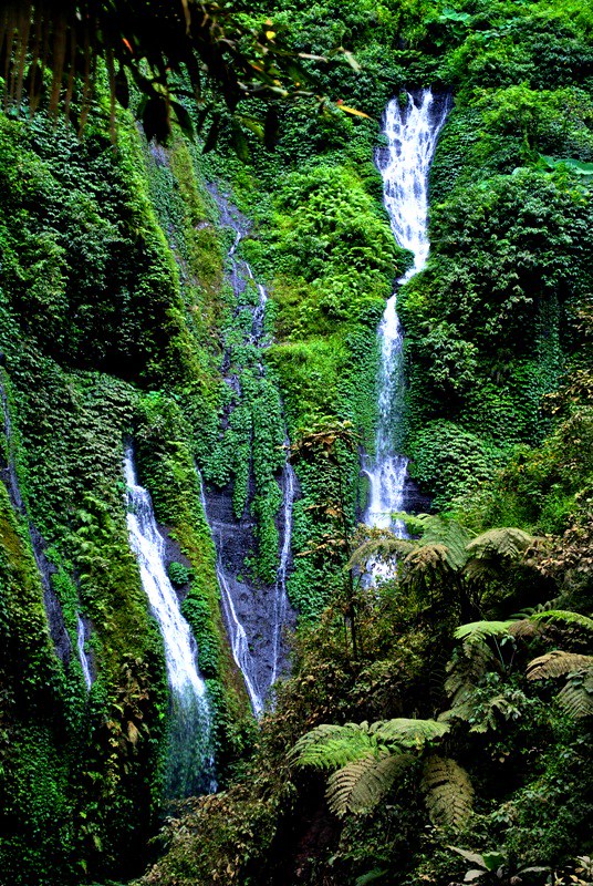 Air Terjun Madakaripura Near mount Bromo area @Probolinggou2026 Flickr