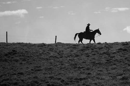 horse monochrome silhouette fence blackwhite cowboy wyoming americanwest classicscene