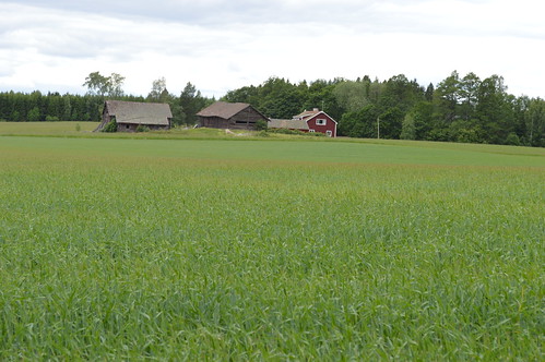 june barn sweden dalarna 2014 grytnäs knutsbo