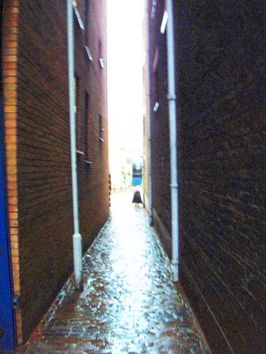 wapping_b1748 | by nephropsnorvegicus