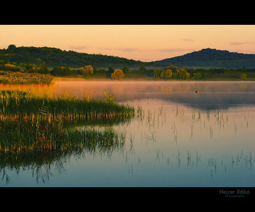 reflection water hungary természet tó táj köd tájkép nyár reggel napfelkelte tükröződés víz vízpart canonsx10 ringexcellence