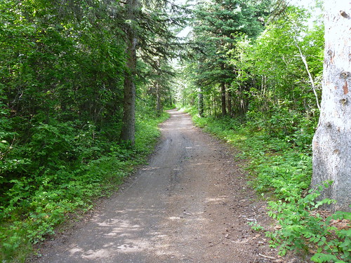 The Path Again | by EmberWolf