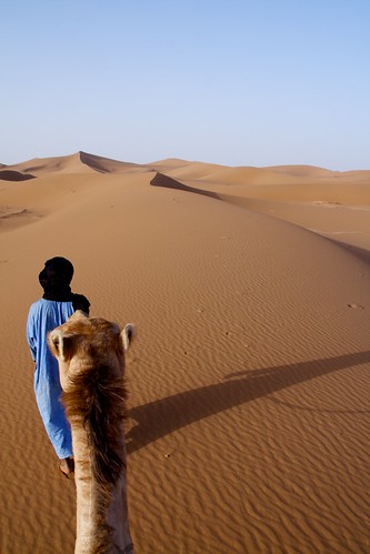 sahara sand raw desert dunes morocco sanddunes saharadesert mhamid ergchigaga
