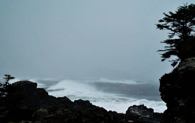Wild Pacific Trail - Ucluelet, Vancouver Island, British Columbia, Canada.