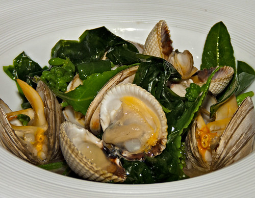 Bath Chaps, Palourde Clams, 3 Different Types of Seaweed, Rock Samphire, Sea Beet, Stonecrop | by Grete Howard ARPS