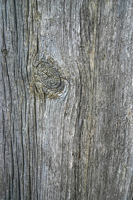 Texturas madera