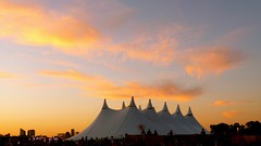 Solidays: Le Site - 6