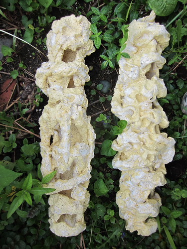 Found in the Garden | by Plant Design Online
