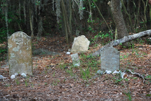 Wash Woods cemetery showing 4 headstones with leaves covering the ground and shells placed in front of the stones, with spanish moss hanging above it and dark woods behind it