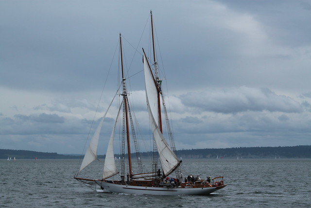 IMG_0231 - Port Townsend WA - Schooner ADVENTURESS on opening day May 3rd, 2014