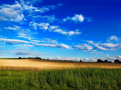 blue summer sky holland nature clouds landscape olympus hills gras veld zuiko landschap heuvelland zuidlimburg heuvels eys gulpenwittem eyserlinde