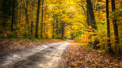 leelanau millerhill sleepingbear autumn landscape trees