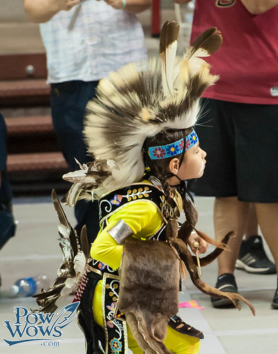 Chicken - 2014 Gathering of Nations | by Paul Gowder