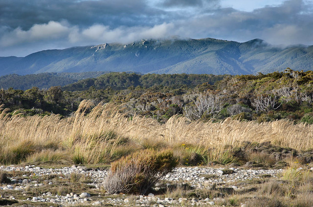 Hump Ridge from the mouth of the Wairaurahiri River, Fiordland, New Zealand