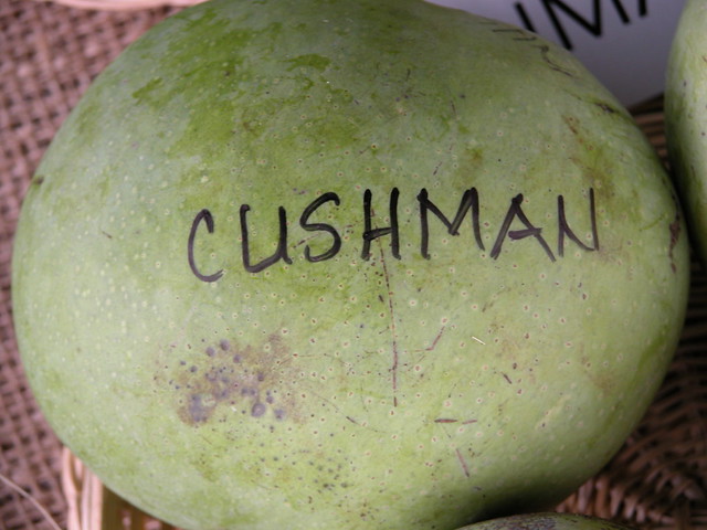 Mango  #63: CUSHMAN  #1