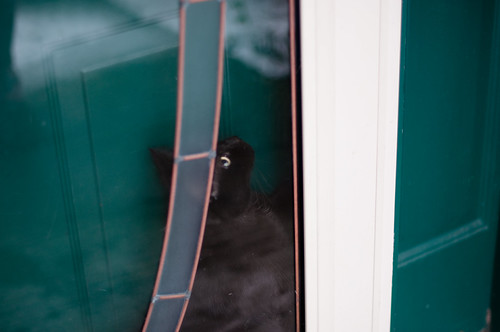 Let me in! | by Bruce A Stockwell