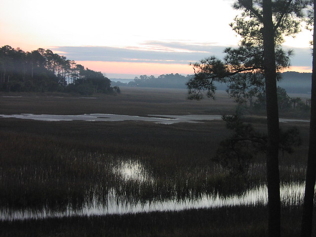 2003 Bluffton Marshes