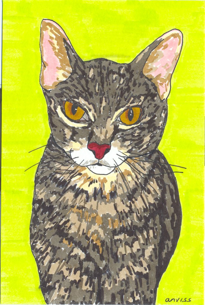 a cat named foxy fey | these are my finished portraits for t… | Flickr