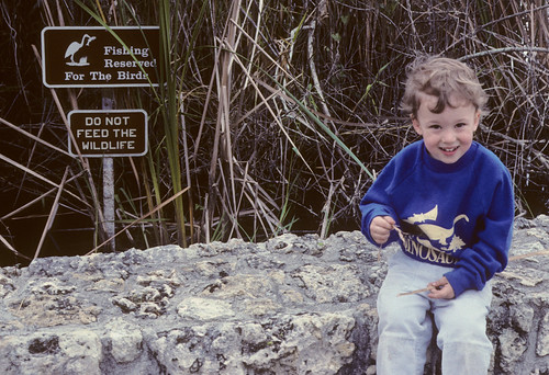 Tommy in the Everglades