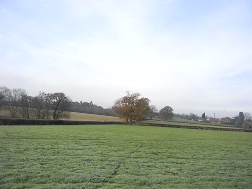 Frosty field Ockley to Warnham
