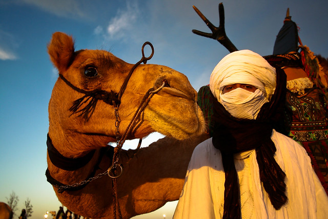 3, My Friend is a Camel 1 !!