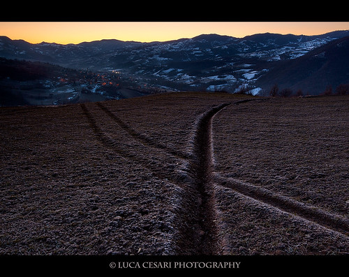 Frosty sunrise - WISHING YOU ALL A FANTASTIC CHRISTMAS by Luca Cesari Photography