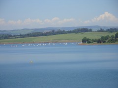 Midmar Resevoir  - Sailing boats - First day...we went to the Midlands Meander!