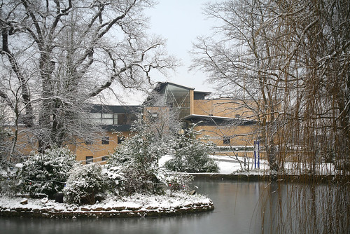 Southlands_in_snow (2)