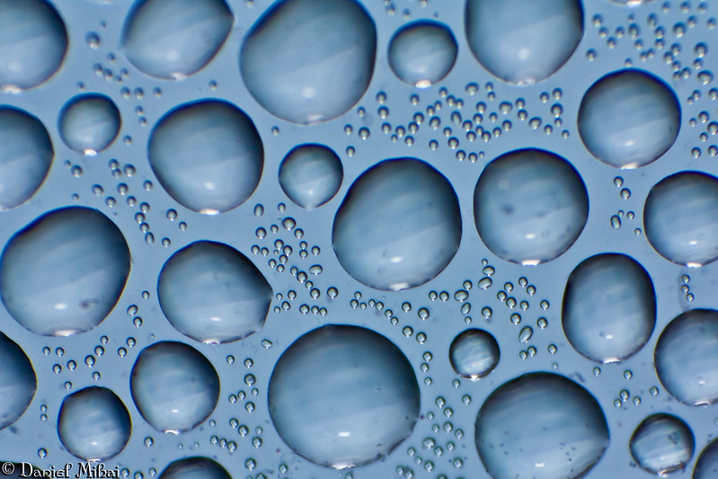 Water bubbles by Daniel Mihai
